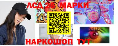 альфа пвп Владикавказ