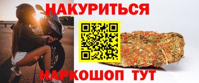 альфа пвп Владикавказ