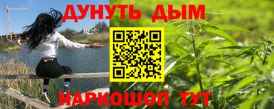 альфа пвп Владикавказ