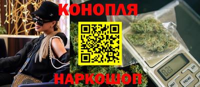 альфа пвп Владикавказ