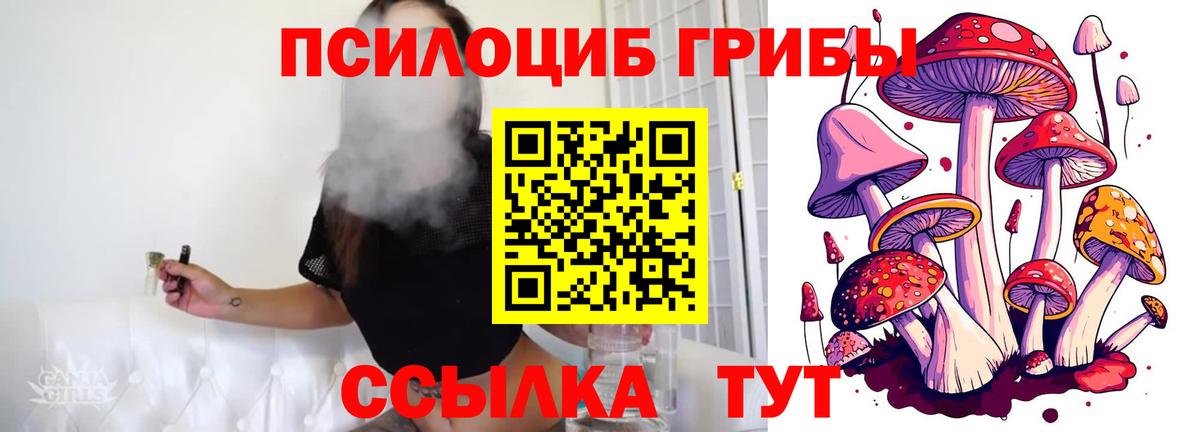 где можно купить   Вход с VPN  Ирбит  Галлюциногенные грибы мицелий 